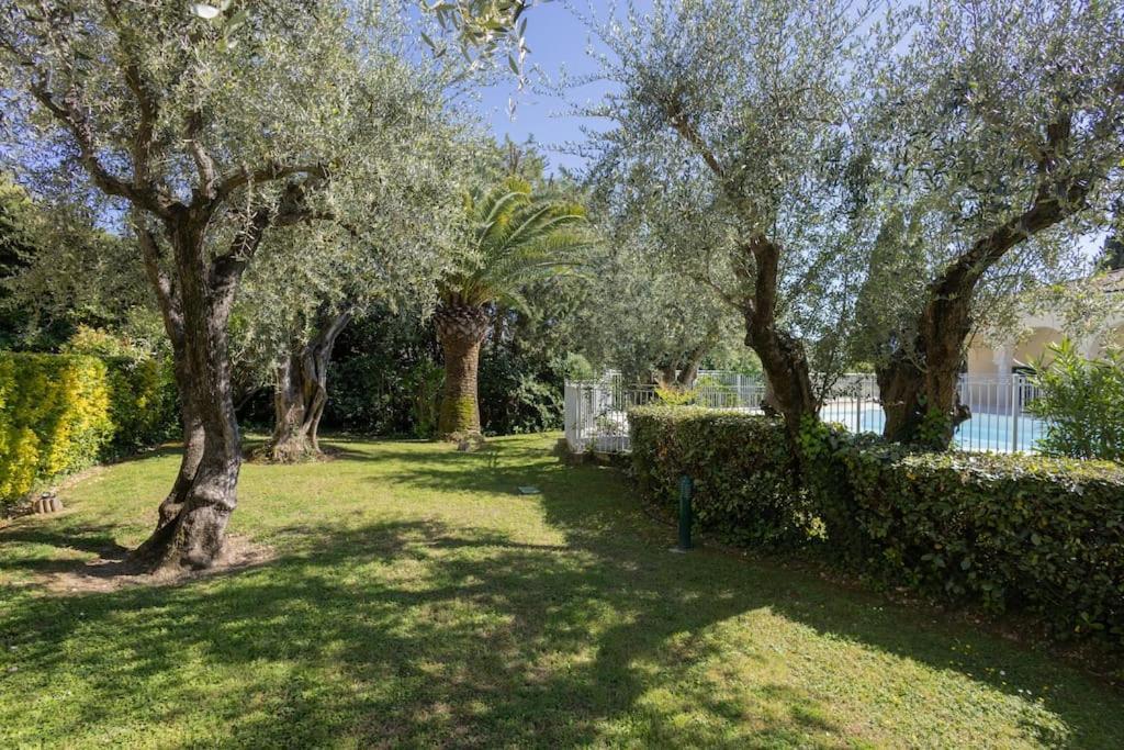 Apartment Adorable 2p Avec Piscine Cannes